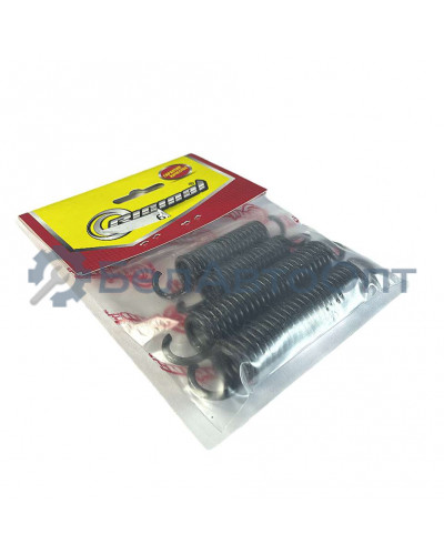 пружина колодок зад 2101-3501000 ваз-2101-07 компл 4шт riginal