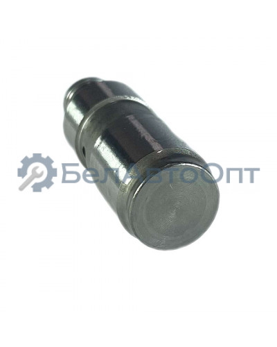 гидрокомпенсатор 21214-1007160-31 н/обр ваз-21214,2123 без резьб втулки riginal