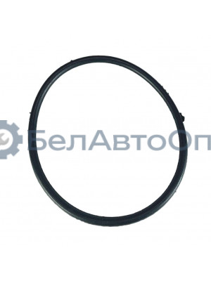 кольцо упл модуля бензонасоса 3111-1101022 волга газель