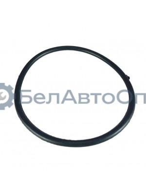 кольцо упл модуля бензонасоса 3111-1101022 волга газель