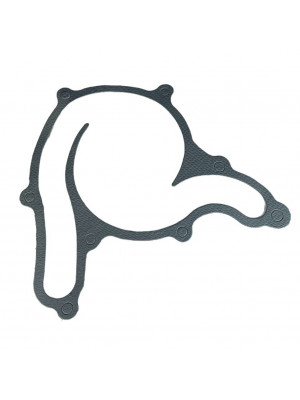 прокладка насоса вод г-53 66-1307048