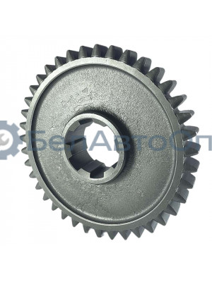 шестер ведом а25.37.119 т-25