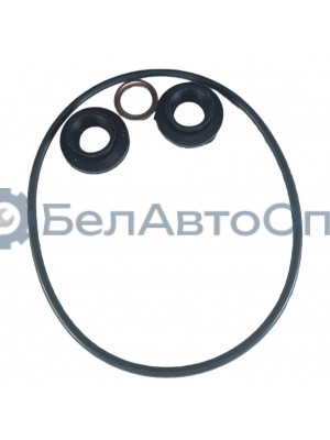 р/к фильтра топл тонк очистки маз евро-3