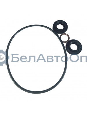 р/к фильтра топл тонк очистки маз евро-3