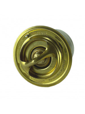 термостат тс 107-06 маз фенокс