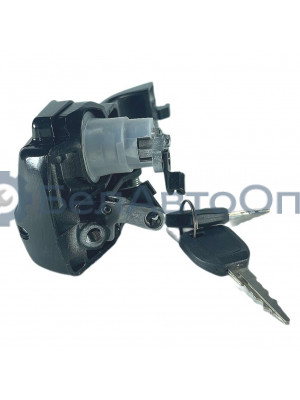 ручка двери наруж маз евро-3 прав ижкс 303658.059-03 с ключами