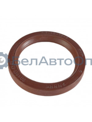 сальник 40*52*7 кулака разжимн маз-4370 256