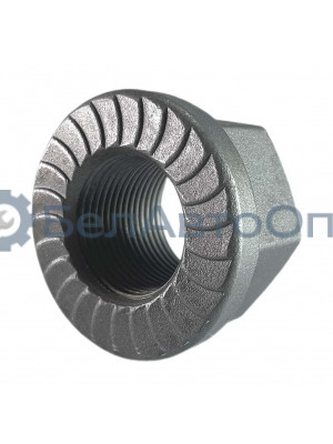 гайка стремянки зад маз м30*2 349600 юбка насечка