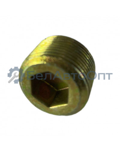 пробка крышки кол пер / картера моста 54323-2401142-001 оао маз