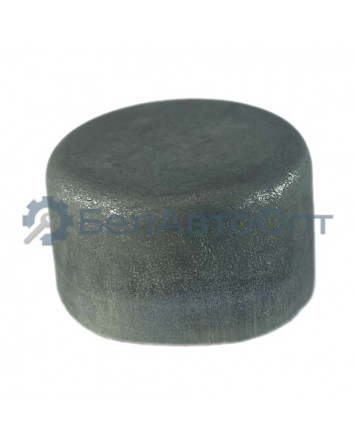 заглушка к/вала 313933-п2 автодизель