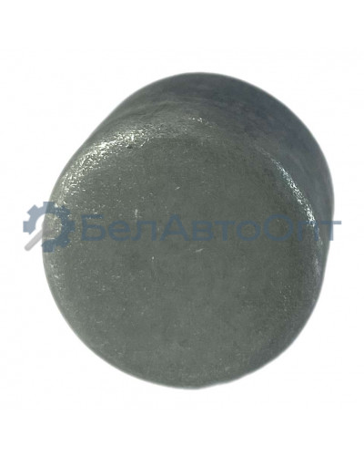 заглушка к/вала 313933-п2 автодизель