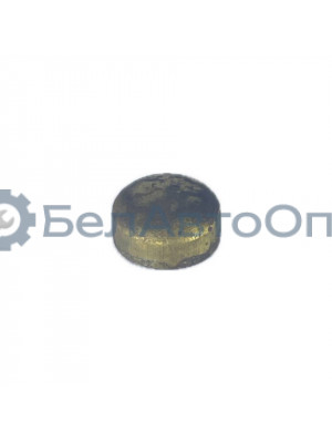 заглушка гбц д02-003-а мтз