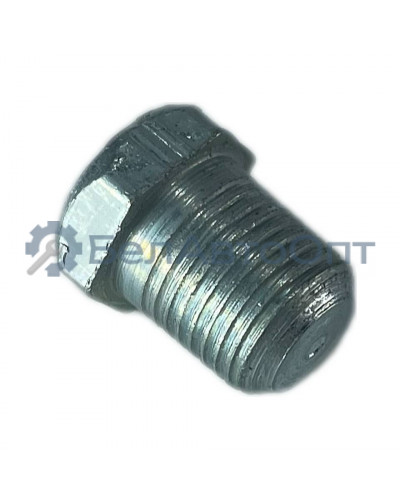 пробка кг 1/8".10кп.016 мтз