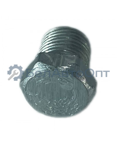 пробка кг 1/8".10кп.016 мтз