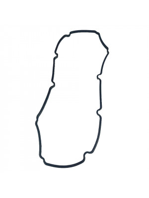 прокладка клапан крыш а274-1007245 газель-next evotech 2.7 резина