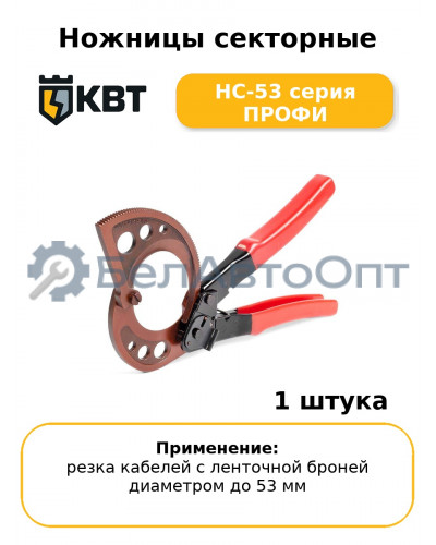 Ножницы секторные НС-53 серия ПРОФИ