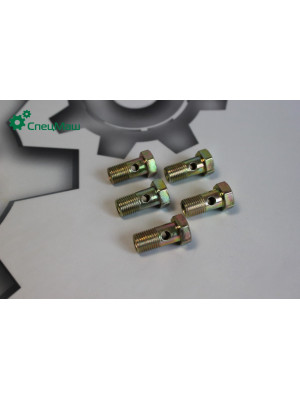 Болт-штуцер  СПЕЦМАШ 310122-П2