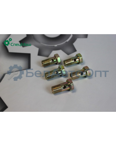 Болт-штуцер СПЕЦМАШ 310122-П2