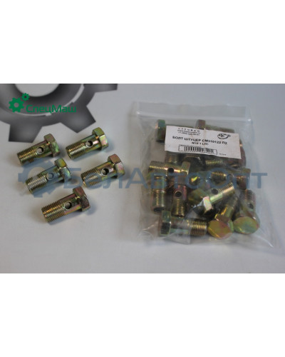 Болт-штуцер СПЕЦМАШ 310122-П2