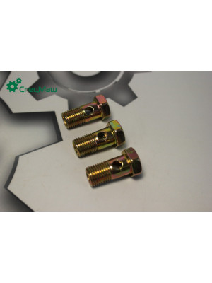 Болт-штуцер  СПЕЦМАШ 310096-П29