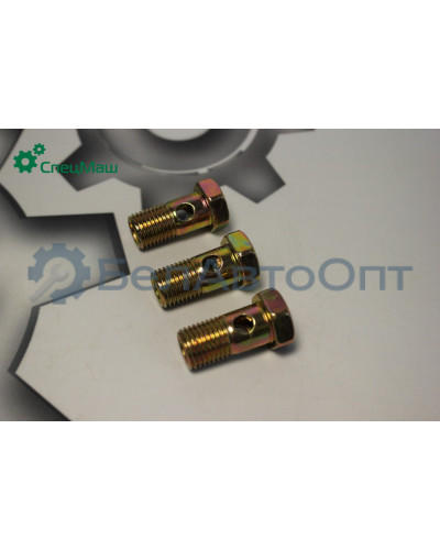 Болт-штуцер СПЕЦМАШ 310096-П29