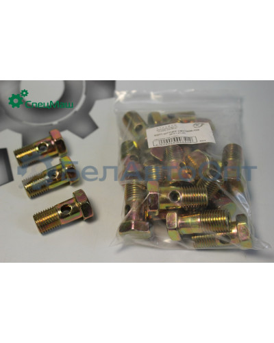 Болт-штуцер СПЕЦМАШ 310096-П29