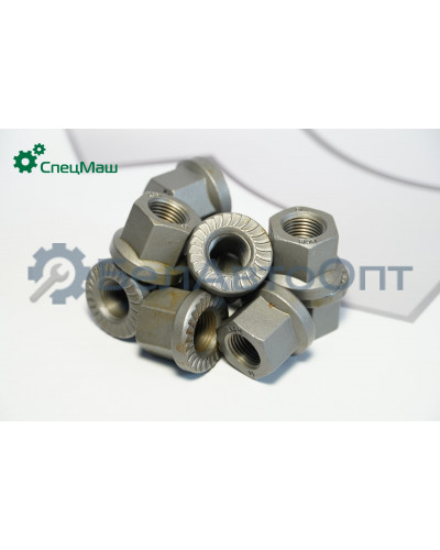 Гайка стремянки МЗКТ, КрАЗ, МАЗ, ЗИЛ СПЕЦМАШ 250691-П29