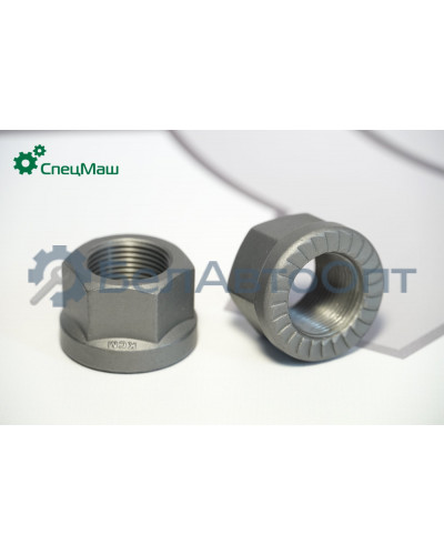 Гайка стремянки ПАЗ, КрАЗ, МАЗ СПЕЦМАШ 348002-П29