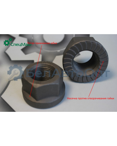 Гайка стремянки МЗКТ, МАЗ СПЕЦМАШ 375059-01