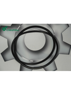 Кольцо уплотнительное МАЗ СПЕЦМАШ 250-260-58-2-3