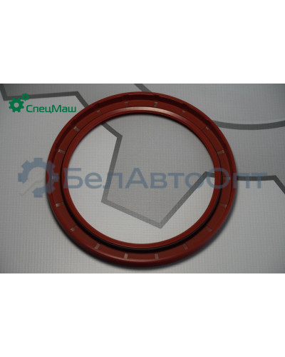 Манжета МЗКТ, МАЗ СПЕЦМАШ 5336-3104038