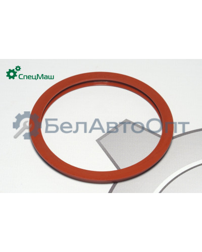 Манжета подшипника КамАЗ СПЕЦМАШ 53205-3001020-01