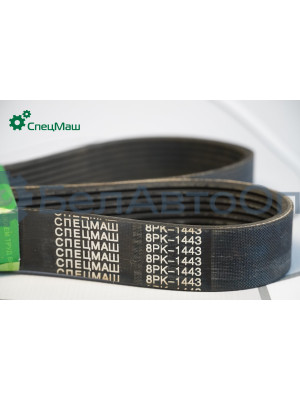 Ремень поликлиновой СПЕЦМАШ 8РК-1445