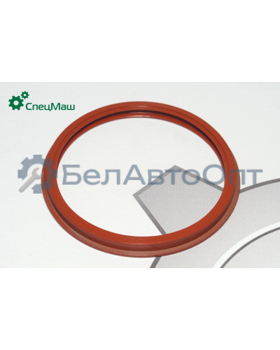 Ремкомплект кулака КамАЗ СПЕЦМАШ РК-53205-3001019-01