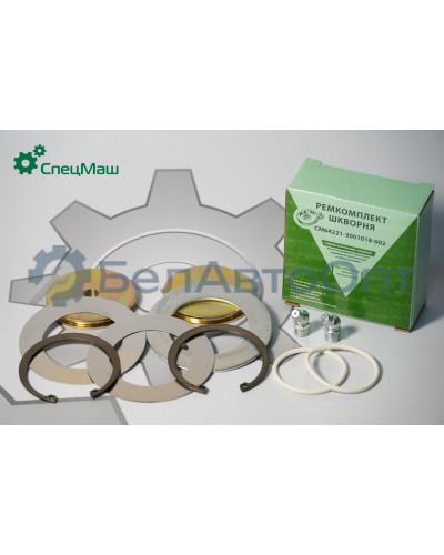 Ремкомплект шкворня МАЗ СПЕЦМАШ 64221-3001018-002