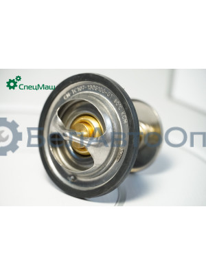 Термостат СПЕЦМАШ 2532076