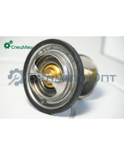 Термостат СПЕЦМАШ 2532076