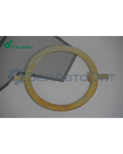 Шайба МАЗ СПЕЦМАШ 89501-3104079