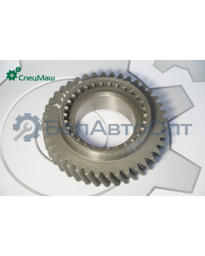 Шестерня КПП-238ВМ МАЗ СПЕЦМАШ 238М-1701112