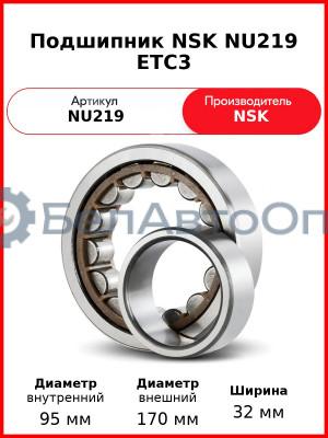 Подшипник NSK NU219 ETC3