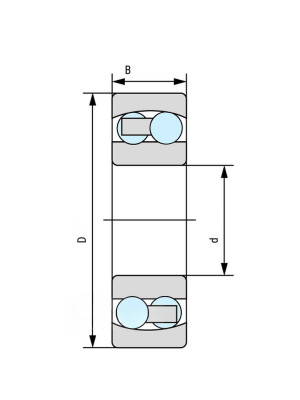 Подшипник NSK 1309 TNGC3