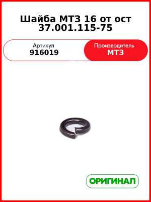 Шайба МТЗ 16 от ост 37.001.115-75 (916019