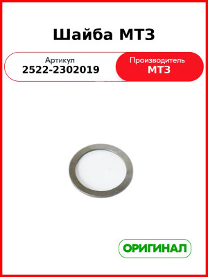 Шайба ОАО МТЗ 2522-2302019