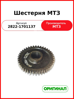 Шестерня ОАО МТЗ 2822-1701137