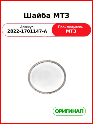 Шайба МТЗ (2822-1701147-А