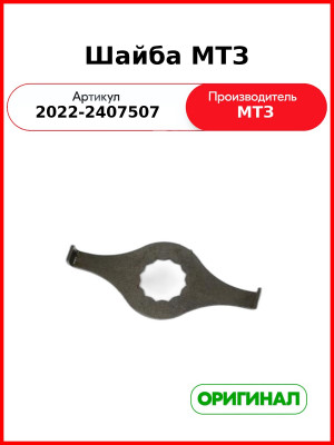 Шайба МТЗ (2022-2407507
