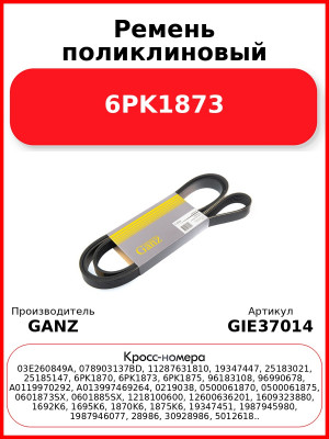 Ремень поликлиновый 6PK1873  GANZ GIE37014