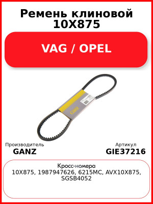 Ремень клиновой 10X875 VAG / OPEL GANZ GIE37216