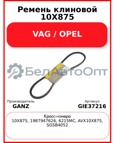 Ремень клиновой 10X875 VAG / OPEL GANZ GIE37216
