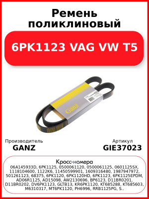 Ремень поликлиновый 6PK1123 VAG VW T5 GANZ GIE37023